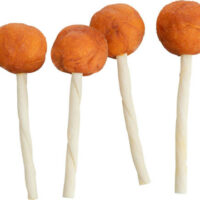 TRIXIE - Trixie Chicken Cheese Lolly - jutalomfalat (tőkehal) kutyák részére (9cm/15g) - ömlesztve (60db/csomag)