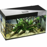 Aqua-el - AquaEl Akvárium Szett Glossy fekete CUBE ST