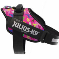 JULIUS-K9 - Julius K-9 IDC Powerhám (1-es méret