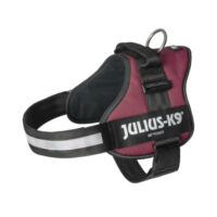 JULIUS-K9 - B:Julius K-9 Powerhám felirattal