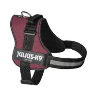 JULIUS-K9 - B:Julius K-9  Powerhám felirattal méret 3 (bordó) 40-70kg-ig