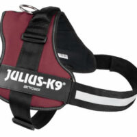 JULIUS-K9 - B:Julius K-9 Powerhám felirattal Baby 2-es méret (bordó) 2-5 kg-ig