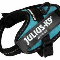 JULIUS-K9 - B:Julius K-9 Powerhám felirattal Baby 2 (türkizkék zsákszövet) 2-5kg-ig