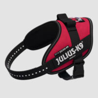 JULIUS-K9 - B:Julius-K9 Powerhám felirattal (Viva magenta) kutyák részére (mini méret)
