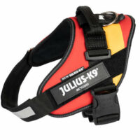 JULIUS-K9 - B:Julius K-9 IDC Powerhám felirattal (0-as méret