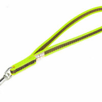 JULIUS-K9 - B:JK9 Color & Gray - Gumis póráz neon-szürke 14 mm/ 45cm fogóval
