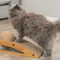 TRIXIE - Trixie Scratching ramp with ball - kaparófa (fakerettel