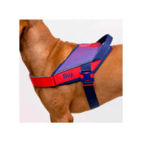 JULIUS-K9 - JK9 Street kutyahám sötét lila és neon málna