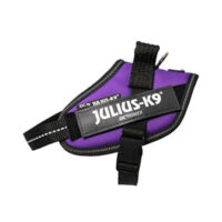 JULIUS-K9 - Julius-K9 IDC Power hám Mini-Mini (sötét lila) kutyák részére
