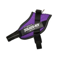 JULIUS-K9 - Julius-K9 IDC Power hám Mini (sötét lila) kutyák részére