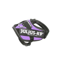 JULIUS-K9 - Julius-K9 IDC Power hám Baby 2 (sötét lila) kutyák részére
