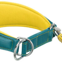 TRIXIE - KT25.Trixie Active Comfort nyakörv agaraknak