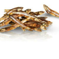 KidDog - KIDDOG Tengeri hal 250 g