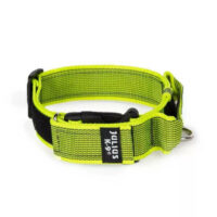 JULIUS-K9 - Julius K-9 Color&Gray nyakörv (40mm/38-53cm) neon