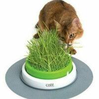 Hagen - Hagen Catit Senses 2.0 Grass Planter
