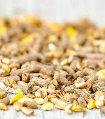 picURL_2_382208feb8b55